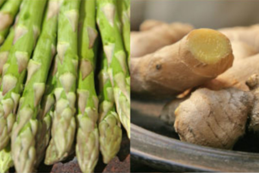 NUTRI-GUIDE